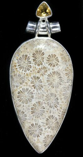 Million Year Old Fossil Coral Pendant - Sterling Silver #48505